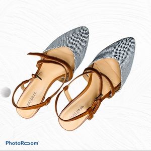 Indigo Rd. Pointed Toe Ankle Straps Flats